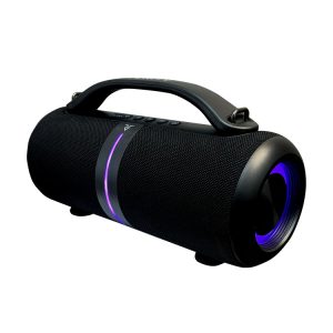 اسپیکر وریتی